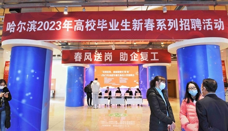 哈市最新招聘动态更新