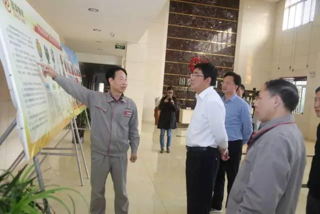 广西伶俐机场最新动态及其区域影响深度解析