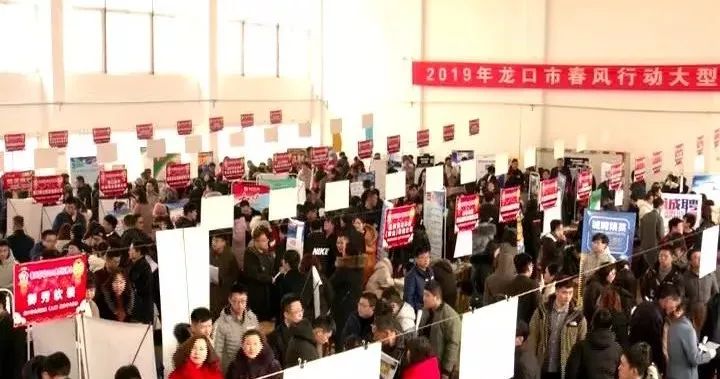 龙口市最新招工动态，背景、事件与地位概述